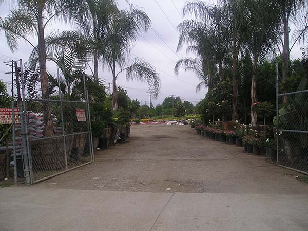 Arleta Nursery